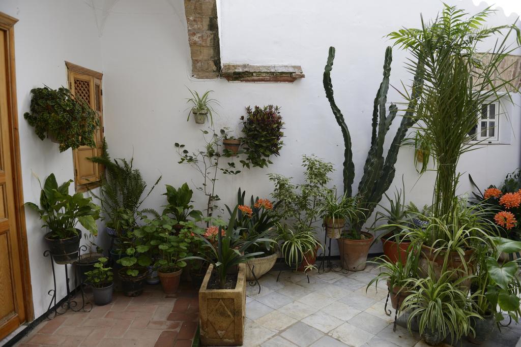 Casa Rural Las Cadenas Del Cananeo Arcos de la Frontera Exterior photo